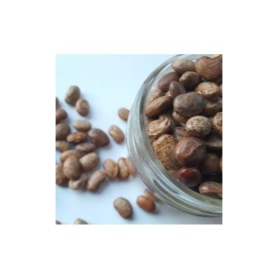 Adagio Acres Manitoba Rotations Pinto Beans 6 / 600g
