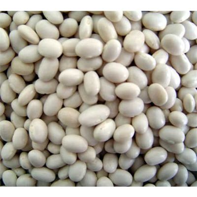 White Navy Beans 10kg (Small White Beans)