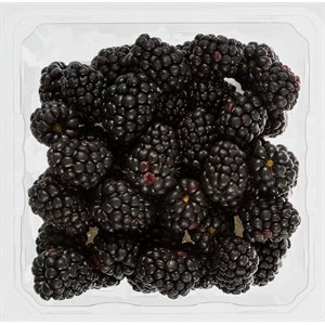 Blackberries 12 / 1 pt
