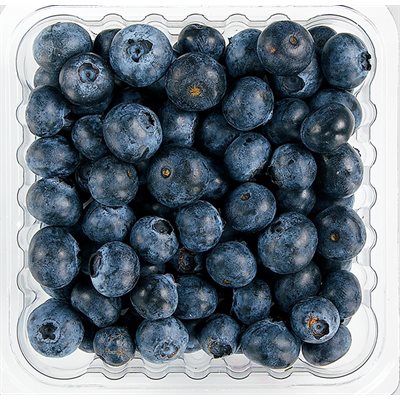 Blueberries 12 / 1 pt