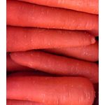 Carrots Jumbo Bag 50lb
