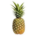 Pineapple 6ct