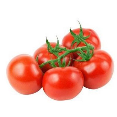 Tomatoes Red On the Vine 11#