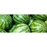 Watermelon Seedless 5ct