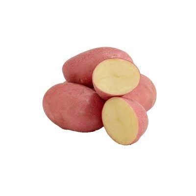 Potato Red Harvest Crisp 10 / 5#