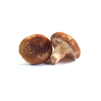 Shiitake Mushrooms #1 / lb (5 lb Box)