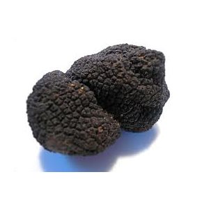 Frozen Himalayan Black Truffles (China)