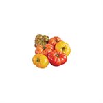Heirloom Tomatoes 10lbs