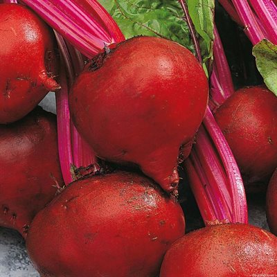 Beets Red Local 25lbs