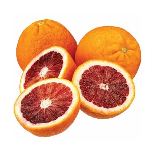 Blood Oranges 1 / 2cnt