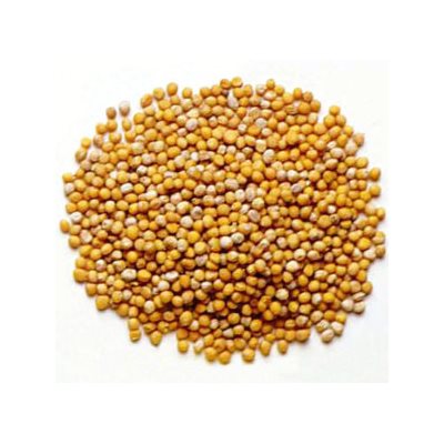 Mustard Seed Shaker 1lb8oz